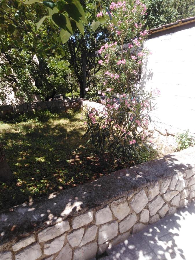 Apartman Mimi Klenovica Zewnętrze zdjęcie