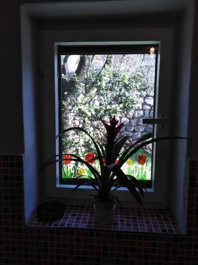 Apartman Mimi Klenovica Zewnętrze zdjęcie